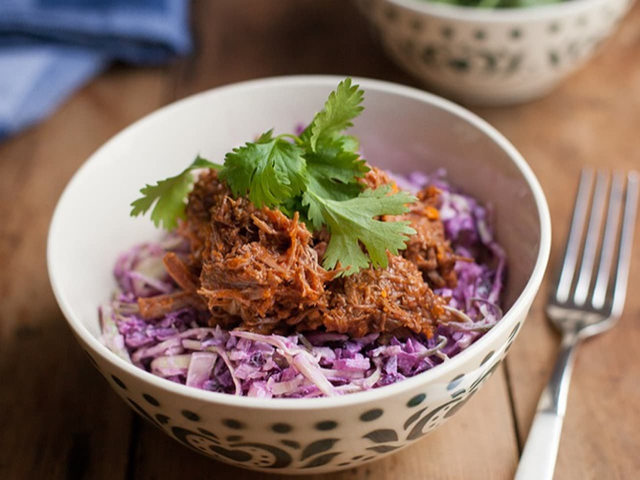 Carne deshebrada en ensalada de col