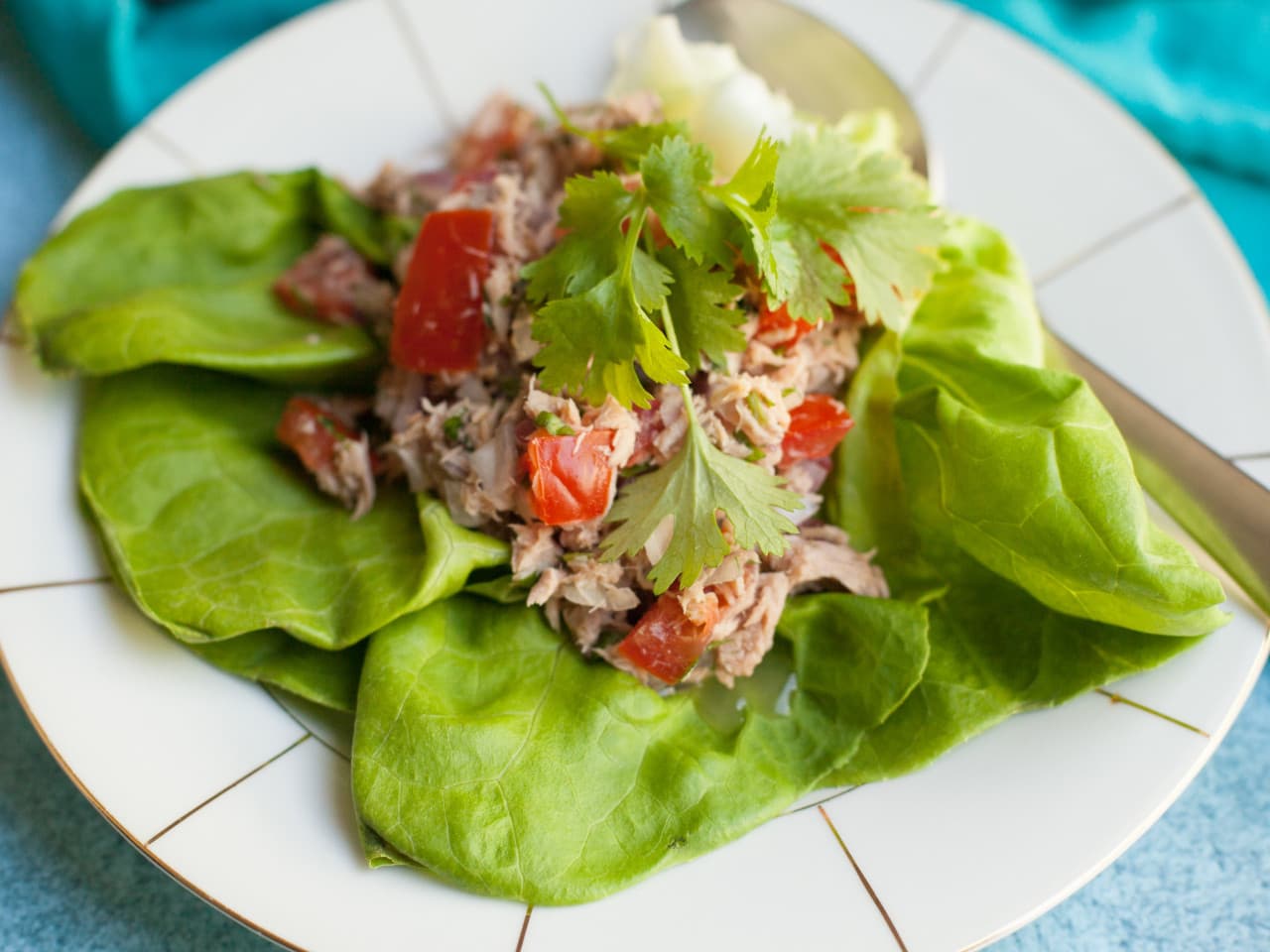 Mexi-tuna wraps