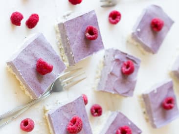 Coconut Blueberry Slices