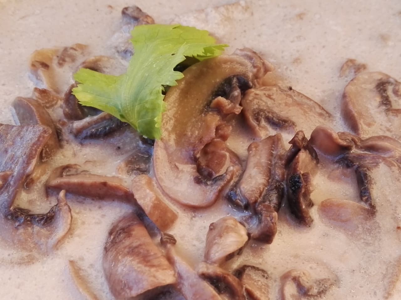 Soupe aux champignons