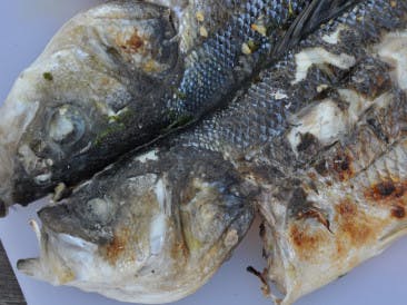 Sea bass Malaga way with lemon dressing