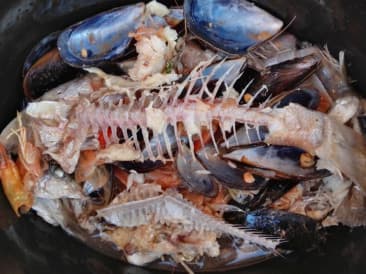 Super einfache Fischbrühe